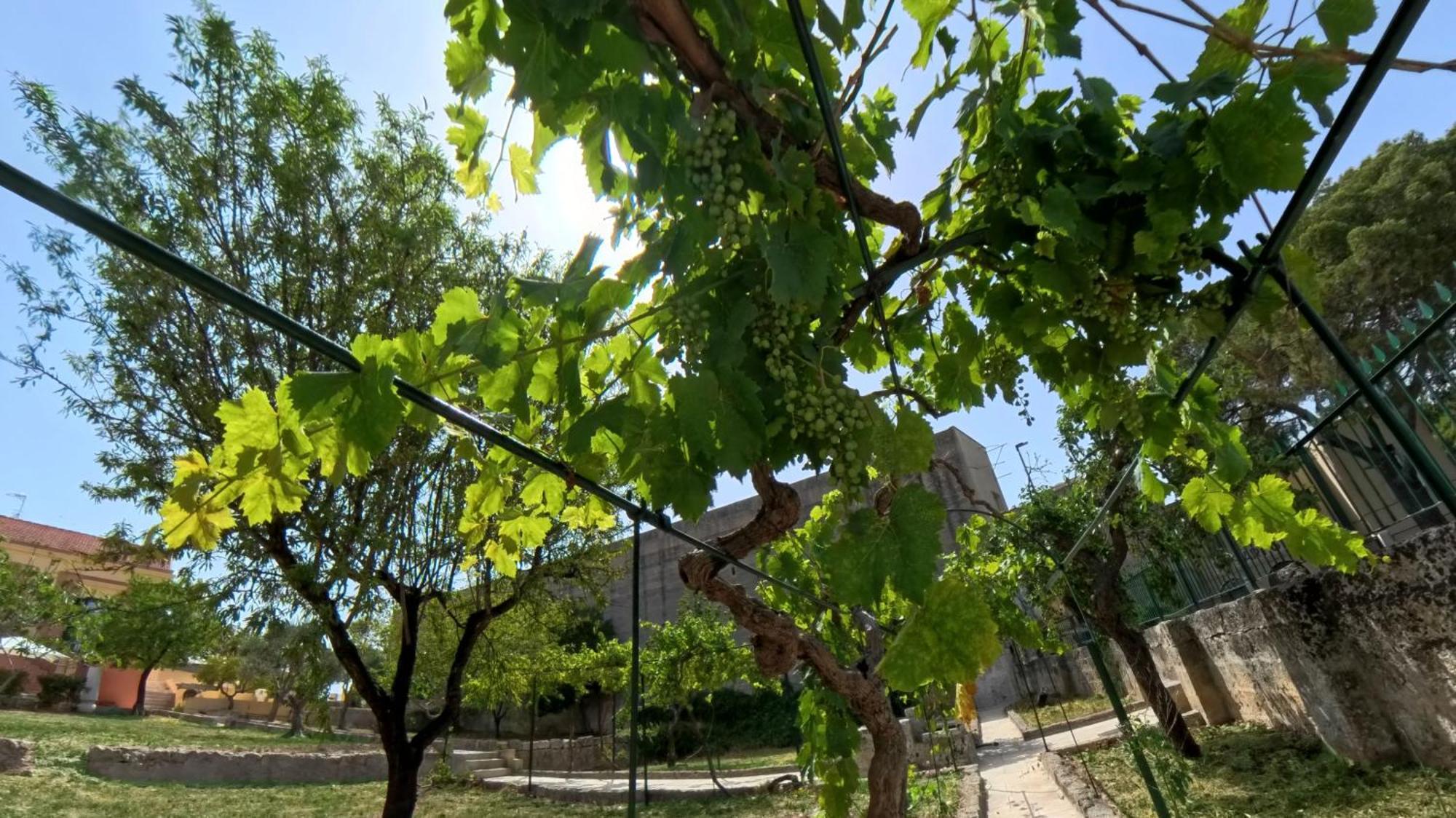 Villa Sine Tempore Fumarola Matera Zewnętrze zdjęcie